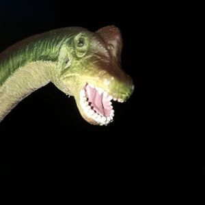 Meet your Posher, Imogen